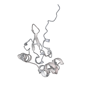 13741_7q08_Q_v1-1
Structure of Candida albicans 80S ribosome in complex with cycloheximide