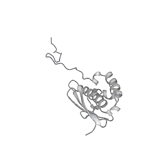 13741_7q08_R_v1-1
Structure of Candida albicans 80S ribosome in complex with cycloheximide