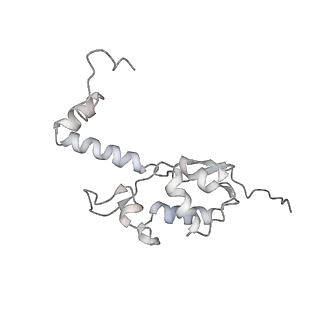 13741_7q08_T_v1-1
Structure of Candida albicans 80S ribosome in complex with cycloheximide