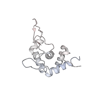 13741_7q08_U_v1-1
Structure of Candida albicans 80S ribosome in complex with cycloheximide