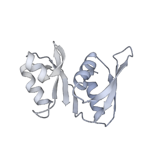 13741_7q08_X_v1-1
Structure of Candida albicans 80S ribosome in complex with cycloheximide