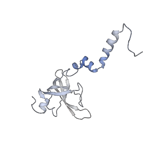 13741_7q08_Y_v1-1
Structure of Candida albicans 80S ribosome in complex with cycloheximide