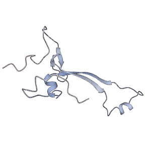 13741_7q08_b_v1-1
Structure of Candida albicans 80S ribosome in complex with cycloheximide