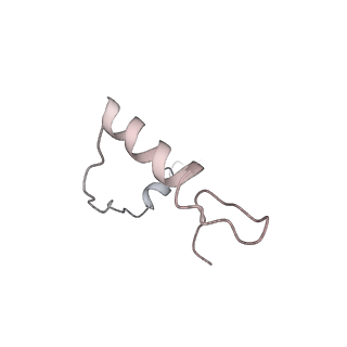 13741_7q08_f_v1-1
Structure of Candida albicans 80S ribosome in complex with cycloheximide