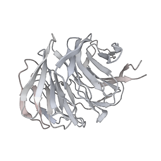 13741_7q08_h_v1-1
Structure of Candida albicans 80S ribosome in complex with cycloheximide