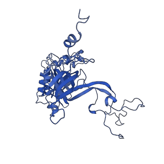 13741_7q08_k_v1-1
Structure of Candida albicans 80S ribosome in complex with cycloheximide