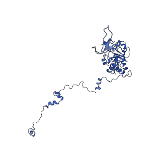 13741_7q08_l_v1-1
Structure of Candida albicans 80S ribosome in complex with cycloheximide