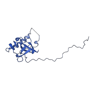 13741_7q08_n_v1-1
Structure of Candida albicans 80S ribosome in complex with cycloheximide