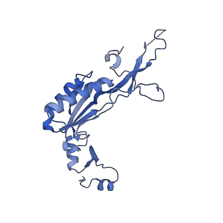 13741_7q08_r_v1-1
Structure of Candida albicans 80S ribosome in complex with cycloheximide