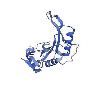 13741_7q08_s_v1-1
Structure of Candida albicans 80S ribosome in complex with cycloheximide