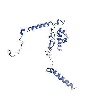 13741_7q08_t_v1-1
Structure of Candida albicans 80S ribosome in complex with cycloheximide