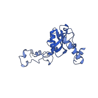 13741_7q08_v_v1-1
Structure of Candida albicans 80S ribosome in complex with cycloheximide
