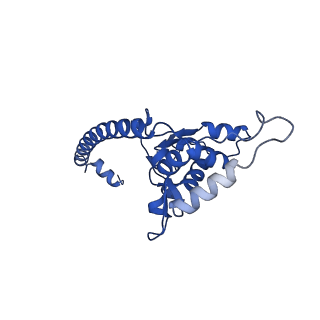 13741_7q08_w_v1-1
Structure of Candida albicans 80S ribosome in complex with cycloheximide