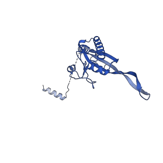 13741_7q08_x_v1-1
Structure of Candida albicans 80S ribosome in complex with cycloheximide