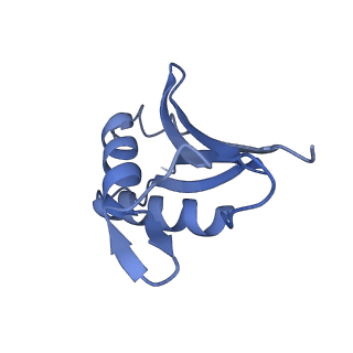 13744_7q0f_5_v1-1
Structure of Candida albicans 80S ribosome in complex with phyllanthoside