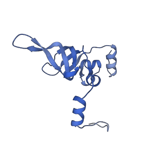 13744_7q0f_9_v1-1
Structure of Candida albicans 80S ribosome in complex with phyllanthoside