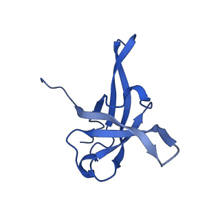 13744_7q0f_AG_v1-1
Structure of Candida albicans 80S ribosome in complex with phyllanthoside