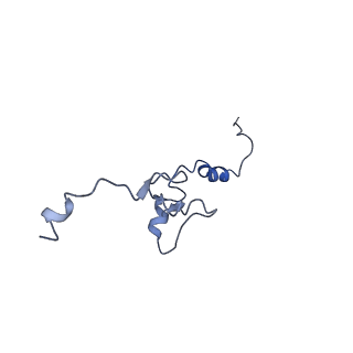 13744_7q0f_AK_v1-1
Structure of Candida albicans 80S ribosome in complex with phyllanthoside