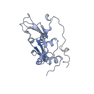 13744_7q0f_D_v1-1
Structure of Candida albicans 80S ribosome in complex with phyllanthoside