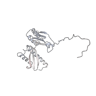 13744_7q0f_E_v1-1
Structure of Candida albicans 80S ribosome in complex with phyllanthoside