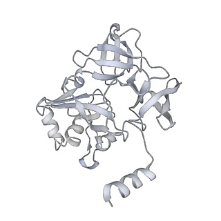 13744_7q0f_F_v1-1
Structure of Candida albicans 80S ribosome in complex with phyllanthoside