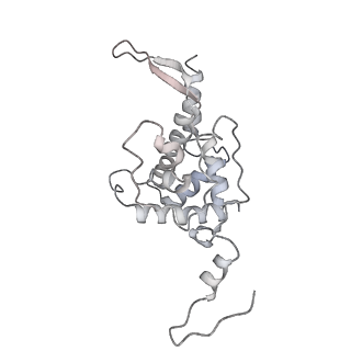 13744_7q0f_G_v1-1
Structure of Candida albicans 80S ribosome in complex with phyllanthoside