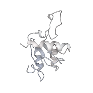 13744_7q0f_N_v1-1
Structure of Candida albicans 80S ribosome in complex with phyllanthoside