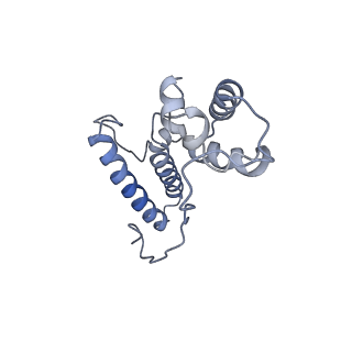 13744_7q0f_O_v1-1
Structure of Candida albicans 80S ribosome in complex with phyllanthoside
