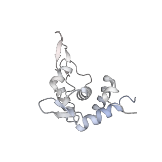 13744_7q0f_U_v1-1
Structure of Candida albicans 80S ribosome in complex with phyllanthoside