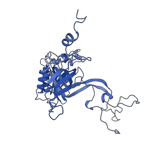 13744_7q0f_k_v1-1
Structure of Candida albicans 80S ribosome in complex with phyllanthoside