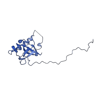 13744_7q0f_n_v1-1
Structure of Candida albicans 80S ribosome in complex with phyllanthoside