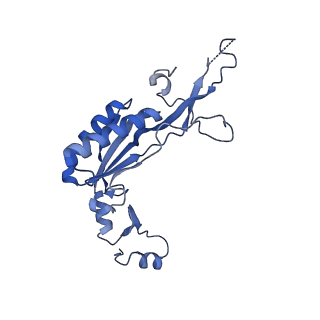 13744_7q0f_r_v1-1
Structure of Candida albicans 80S ribosome in complex with phyllanthoside