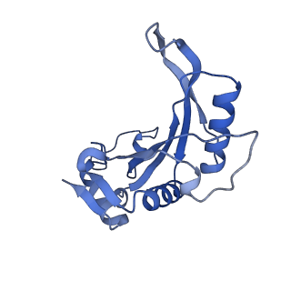 13744_7q0f_s_v1-1
Structure of Candida albicans 80S ribosome in complex with phyllanthoside