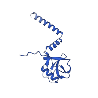 13744_7q0f_u_v1-1
Structure of Candida albicans 80S ribosome in complex with phyllanthoside