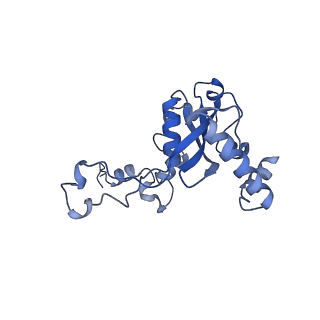 13744_7q0f_v_v1-1
Structure of Candida albicans 80S ribosome in complex with phyllanthoside