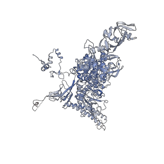 13745_7q0j_C_v1-1
RNA polymerase elongation complex in more-swiveled conformation