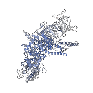 13745_7q0j_D_v1-1
RNA polymerase elongation complex in more-swiveled conformation