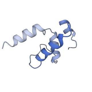 13745_7q0j_E_v1-1
RNA polymerase elongation complex in more-swiveled conformation