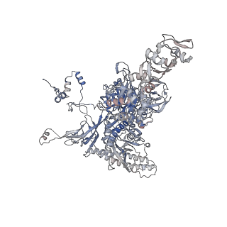 13746_7q0k_C_v1-1
RNA polymerase elongation complex in less-swiveled conformation