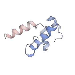 13746_7q0k_E_v1-1
RNA polymerase elongation complex in less-swiveled conformation