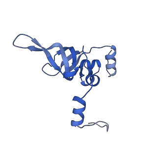 13749_7q0p_9_v1-1
Structure of the Candida albicans 80S ribosome in complex with anisomycin