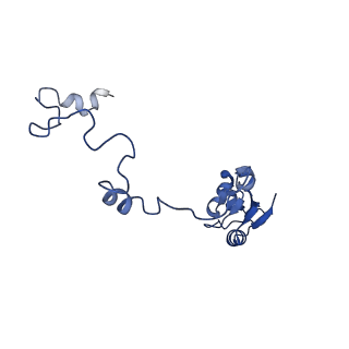 13749_7q0p_AB_v1-1
Structure of the Candida albicans 80S ribosome in complex with anisomycin