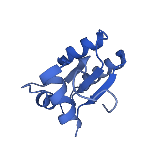 13749_7q0p_AD_v1-1
Structure of the Candida albicans 80S ribosome in complex with anisomycin