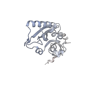 13749_7q0p_C_v1-1
Structure of the Candida albicans 80S ribosome in complex with anisomycin