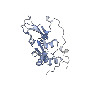 13749_7q0p_D_v1-1
Structure of the Candida albicans 80S ribosome in complex with anisomycin