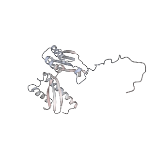 13749_7q0p_E_v1-1
Structure of the Candida albicans 80S ribosome in complex with anisomycin