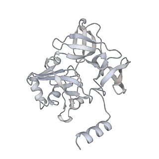 13749_7q0p_F_v1-1
Structure of the Candida albicans 80S ribosome in complex with anisomycin