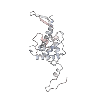 13749_7q0p_G_v1-1
Structure of the Candida albicans 80S ribosome in complex with anisomycin