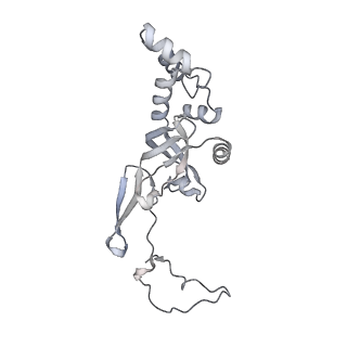 13749_7q0p_J_v1-1
Structure of the Candida albicans 80S ribosome in complex with anisomycin