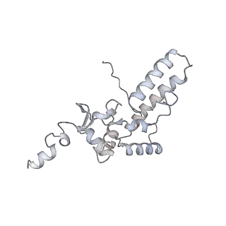 13749_7q0p_K_v1-1
Structure of the Candida albicans 80S ribosome in complex with anisomycin